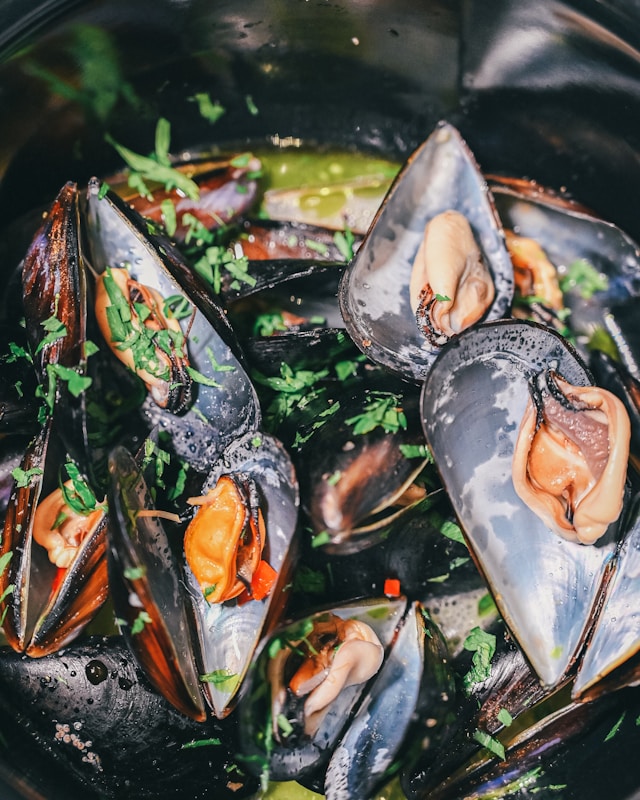 How to Spot The Best Seafood Supplier