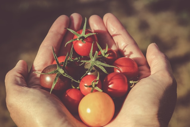 Organic Food Delivery Why More People Are Ditching Supermarkets
