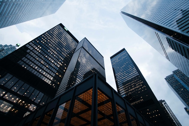 Grant Consultant Insights What Businesses Often Miss When Applying for Funding
