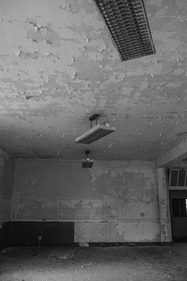 Professional Mold Removal Why Acting Early Can Save Your Property