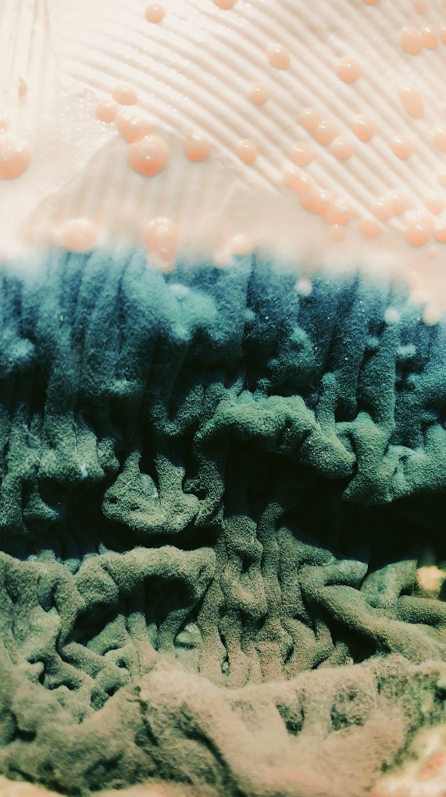 The Hidden Costs of Delaying Professional Mold Removal