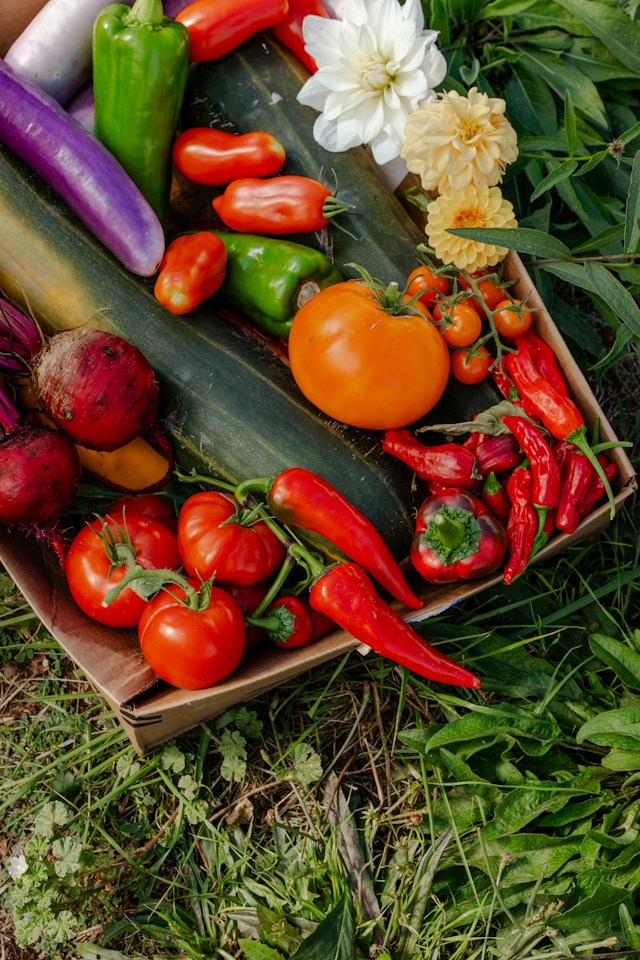 What Should Restaurants Check When Choosing an Organic Vegetable Supplier